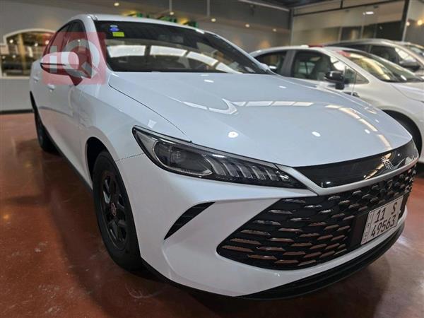 بي واي دي Qin Plus 2025 للبيع في العراق -  بغداد